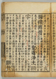 25オ