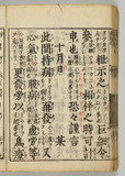 16オ